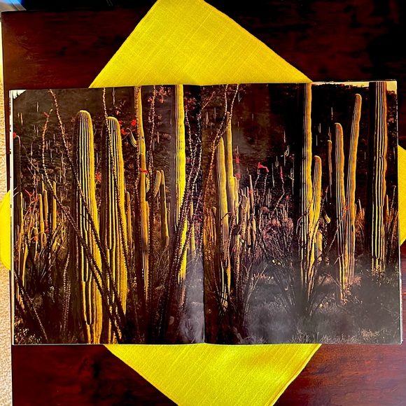 Vintage Arizona Highways magazine, January 1971, The Forests of Arizona - Picture 4 of 5